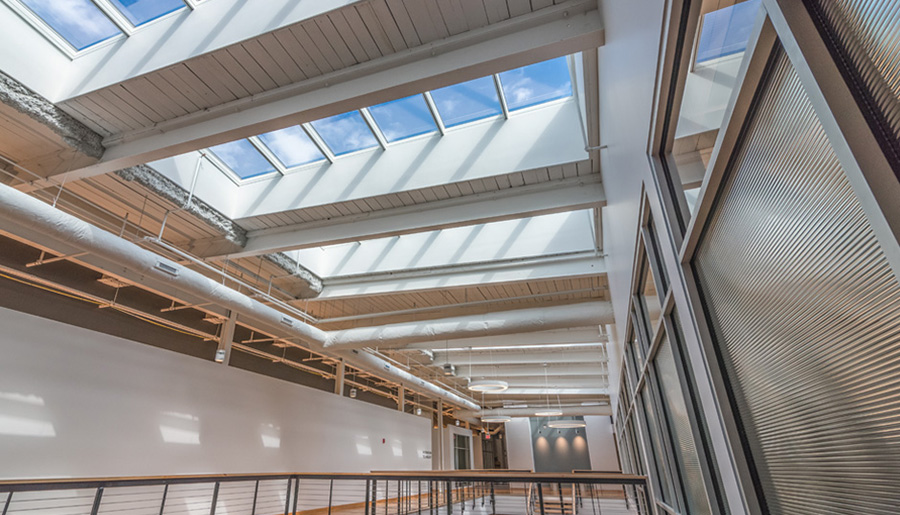 VELUX Skylights